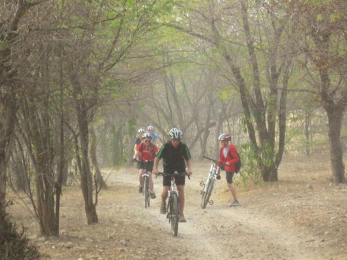 Corbett Treat Resort Ramnagar  Luaran gambar