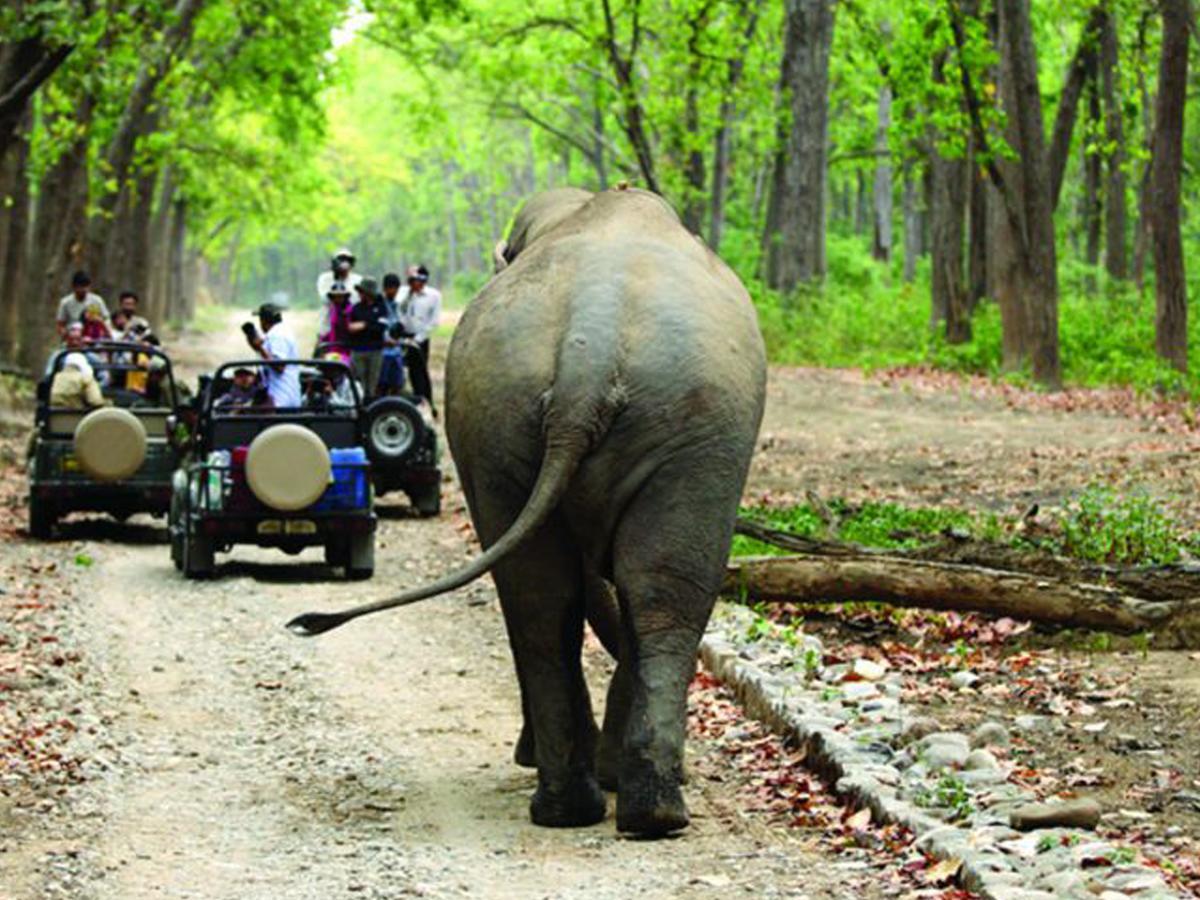 Corbett Treat Resort Ramnagar  Luaran gambar