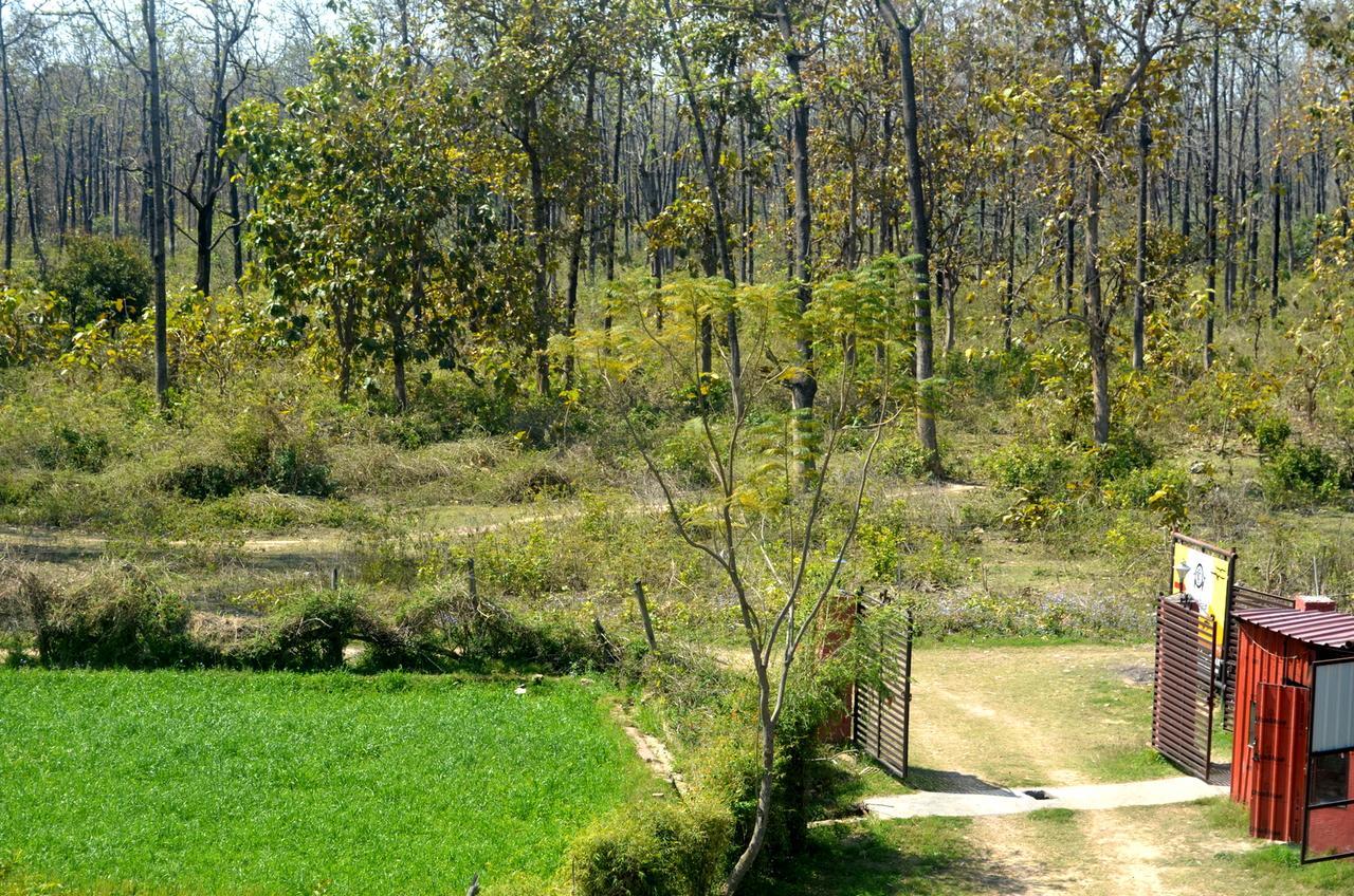 Corbett Treat Resort Ramnagar  Luaran gambar